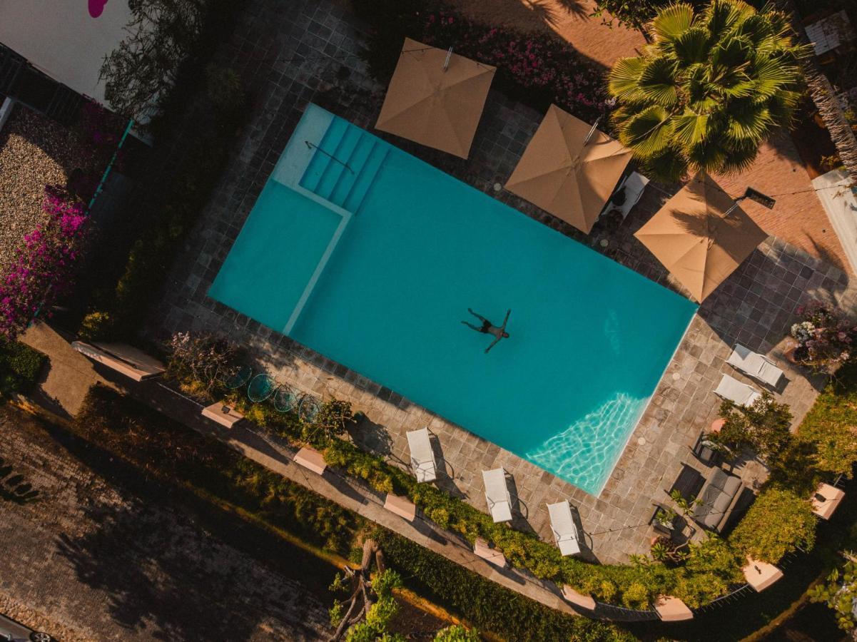 Hotel San Trópico Petit Hotel&peaceful Escape Puerto Vallarta